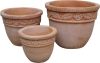 terracotta planter