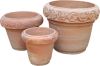 terracotta gardening planter