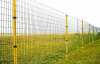 Holland Wire Mesh Fence