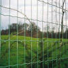 Holland Wire Mesh Fence