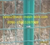 Holland Wire Mesh Fence