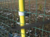 Holland Wire Mesh Fence