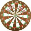 Bristle Dartboard