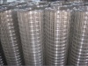 Stainless Steel Welded Mesh