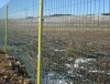 Holland Welded Wire Mesh