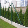 Chain Link Fence/Cyclone Fence