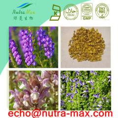 Scutellaria baicalensis Extract