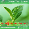 Green Tea Extract 30% L- Theanine