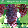 Grape seed Extract