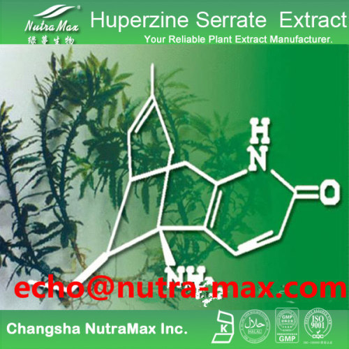 Huperzine Serrate Extract