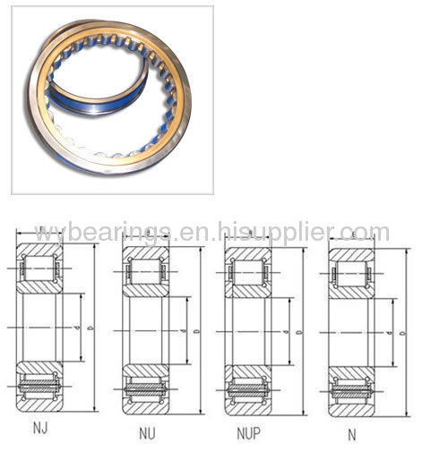 Single row cylindrical roller bearing for steel mill