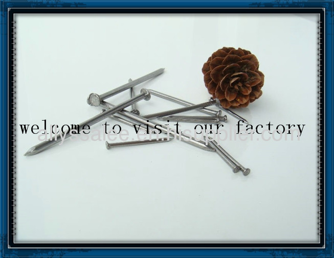 wood common nail/common iron nail/polished common nail factory