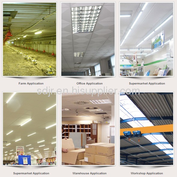 0.6m 20w Tri-proof led light IP65