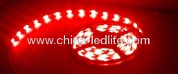 5050 SMD DC12V Epoxy waterproof soft lights strip light in LED Lamp