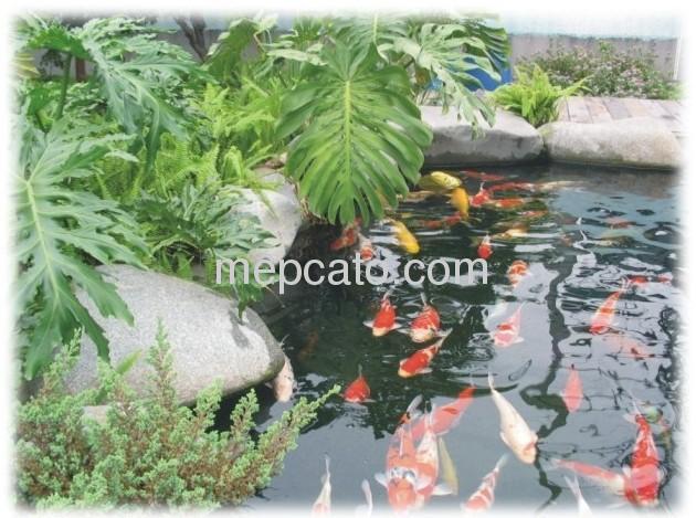 50PS(F)-2.15S centrifugal submersible koi fish pump