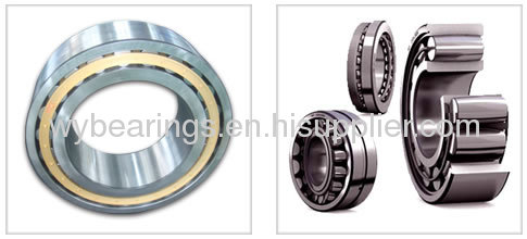 Toroidal roller bearings