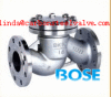 Swing Check Valve