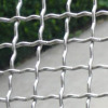 galvanized crimped mesh