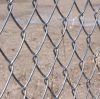 common chain link fence