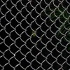 chain link fence for breeding