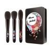 Elegant cosmetic brush set