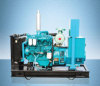 diesel generator set fujian mannufacturer