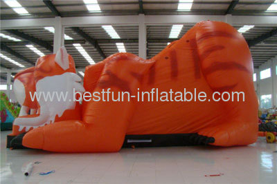 Tiger Inflatable Slides