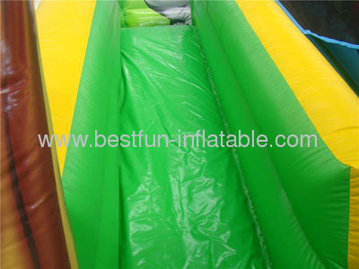 Inflatable Hill Safari Slides