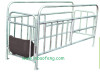 Galvanised gestation crate for pig