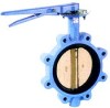 wafer Lug butterfly valve