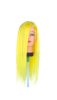 color hair mannequin head