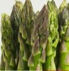 Asparagus extract ; 4% to 8% asparagosides