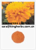 China Marigold Extract