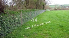 Farm/Field/Grassland fence