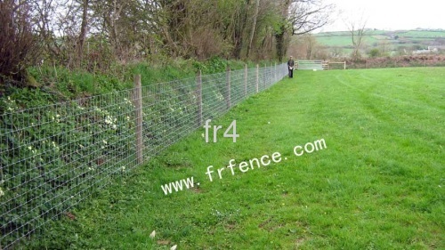 Farm/Field/Grassland fence
