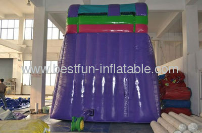 2013 New Hot Inflatable Ripcurl Slide