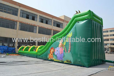 Giant Inflatable Jungle Water Slide