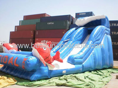 Single Lane Commercial Inflatable Kahuna Slides