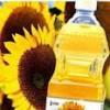 Sunflower Cooking oil