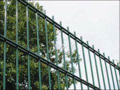 Double wiremesh fence