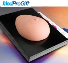 woman breast model,medical education model