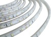 IP68 300pcs 3528SMD LED Strip Lights