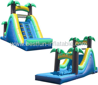 Rear Load 16' Palm Tree Water Slide