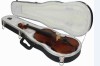 colorful violin case plastic violin bag