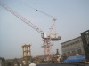 Luffing Tower Crane L85 max load 6t