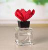 Transparent Square 100ml Small Glass Reed Diffuser with Sola Flower TS-GRD05