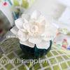 Handmade Natural White Dried Sola Wood Diffuser Flower For MS-FD0243