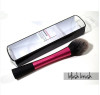 Blush Brush High Definition Results