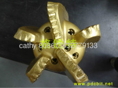 steel body pdc bit