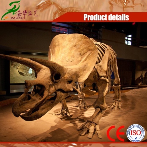 Museum Quality Fiberglass Dinosaur Skeleton